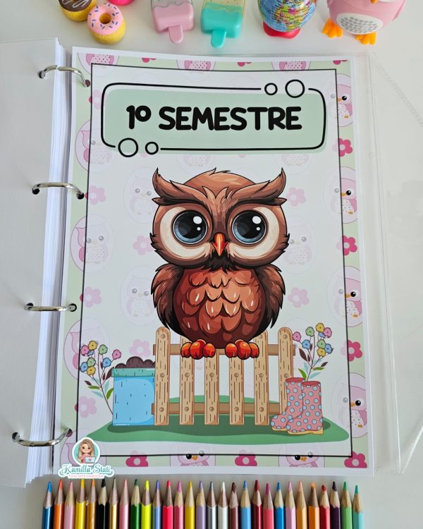 Planner da coordenação 2025 - Imagem 16